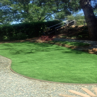 Turf Grass Mendota, California Landscape Photos, Backyard Design