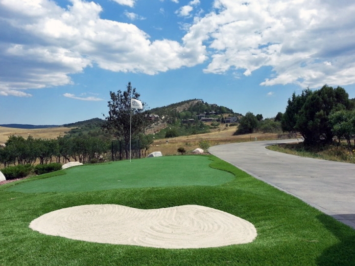 Artificial Grass Carpet Buttonwillow, California Putting Green Turf, Front Yard Design