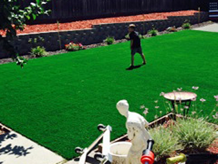 Artificial Grass Carpet East Foothills, California Home And Garden, Backyard Design