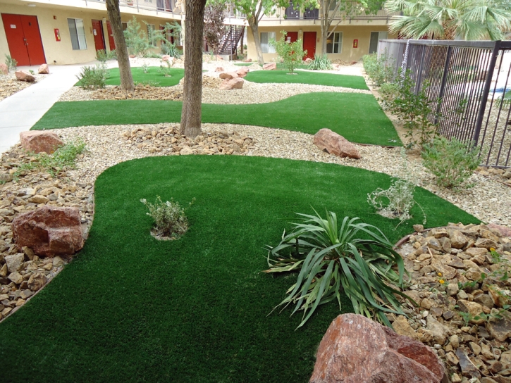 Artificial Grass Carpet Freedom, California Landscaping, Commercial Landscape