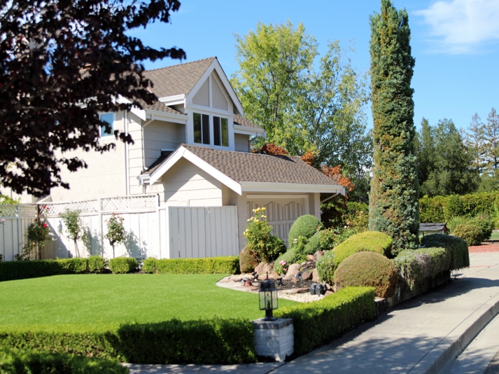 Artificial Grass Carpet Fremont, California Landscaping Business, Front Yard