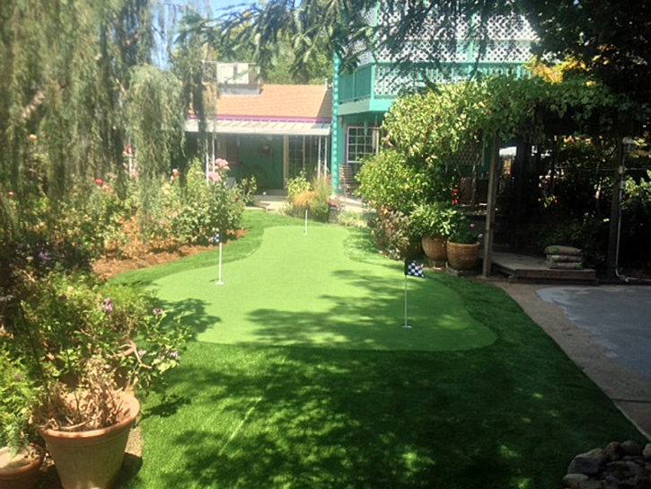 Artificial Grass Carpet Grangeville, California Gardeners