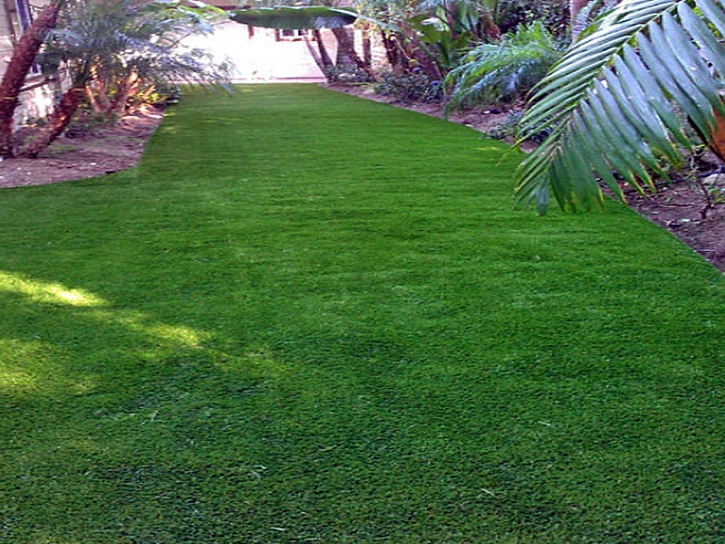 Artificial Grass Carpet Hughson, California Landscape Design, Backyard Design