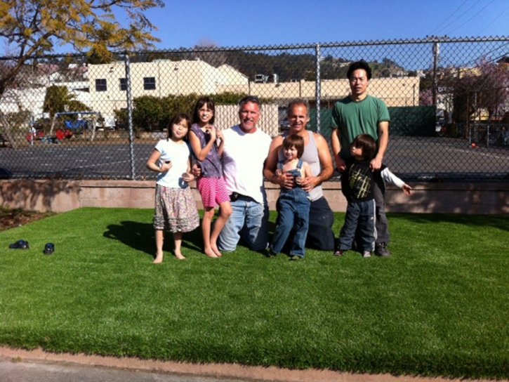 Artificial Grass Carpet Manteca, California Landscape Design, Commercial Landscape