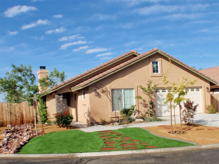 Artificial Grass Carpet McKittrick, California Garden Ideas, Front Yard Ideas