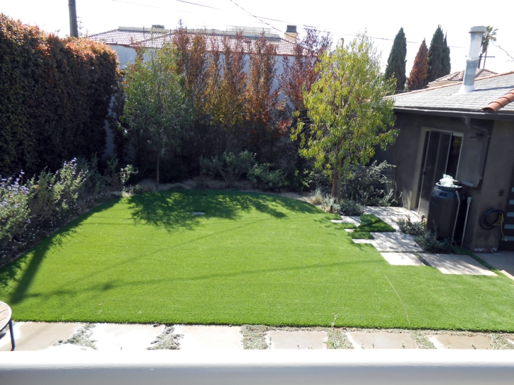 Artificial Grass Carpet Morada, California Landscaping, Backyards