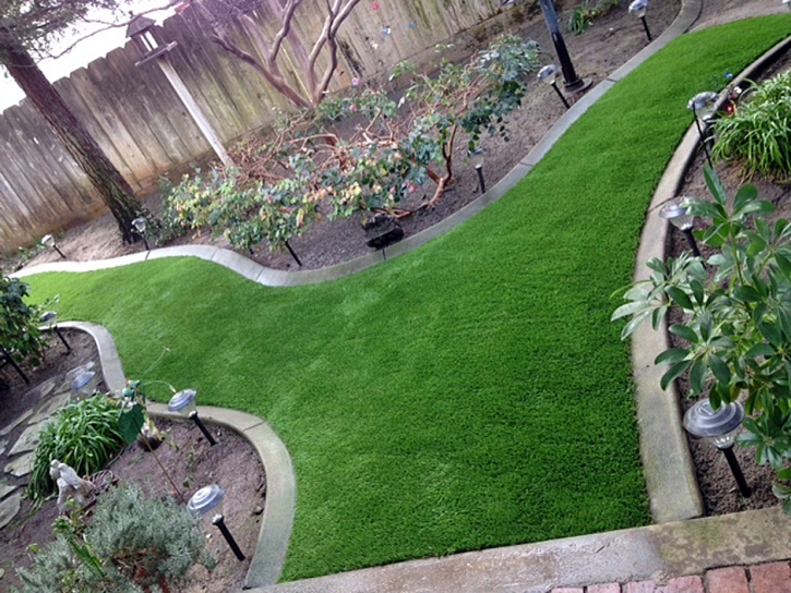 Artificial Grass Carpet Prunedale, California Landscape Ideas, Backyard Makeover