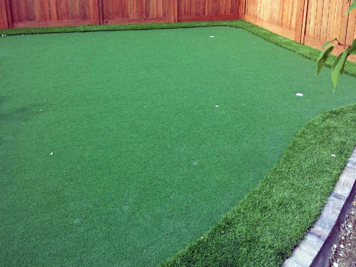 Artificial Grass Carpet Strathmore, California Indoor Putting Green, Backyard Design