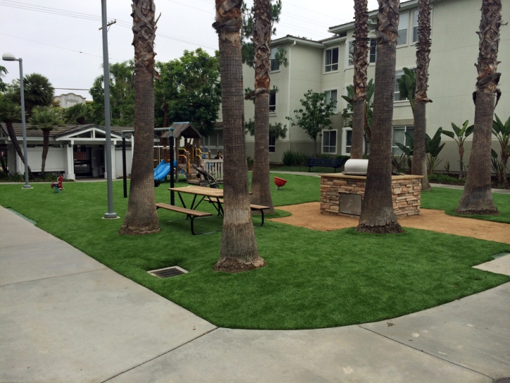 Artificial Grass Carpet Tuttle, California Garden Ideas, Commercial Landscape