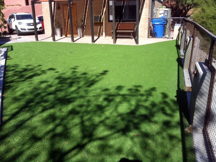 Artificial Grass Installation Farmington, California Landscape Photos, Backyard Landscape Ideas