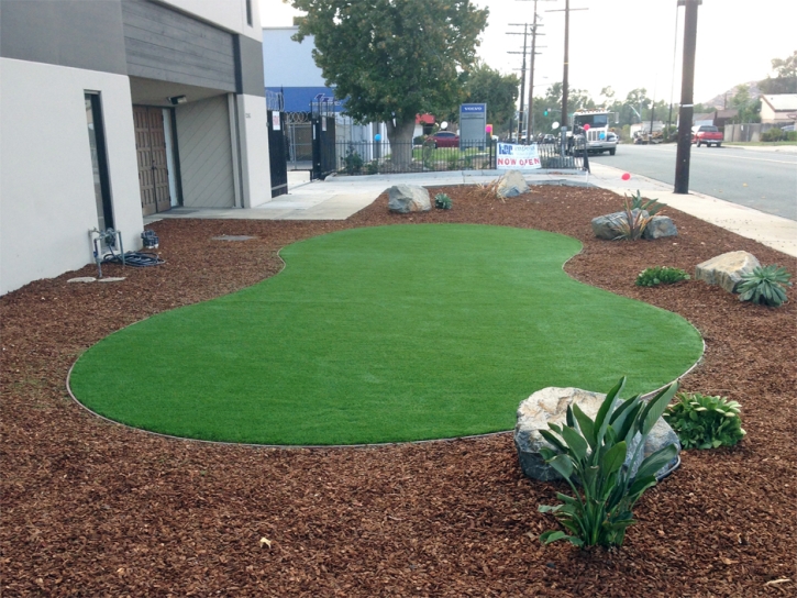 Artificial Grass Lindsay, California Design Ideas, Commercial Landscape