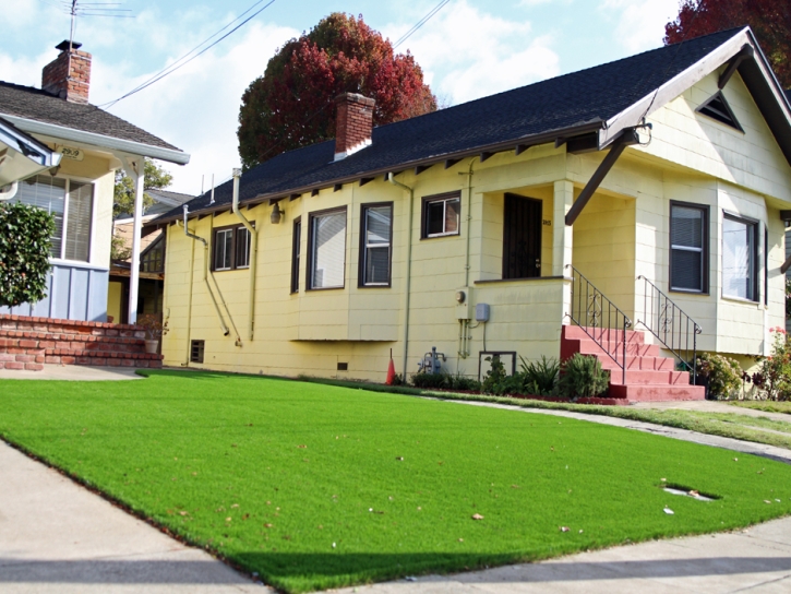 Artificial Grass Morgan Hill, California Roof Top, Front Yard