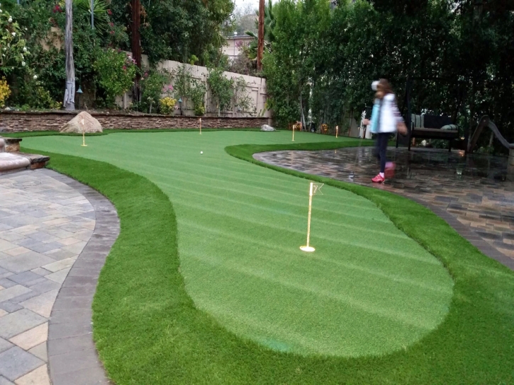 Artificial Grass Plainview, California Roof Top, Backyard Landscape Ideas