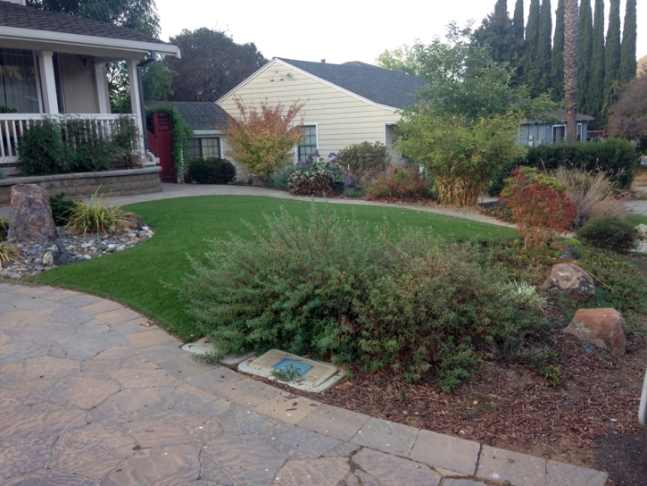 Artificial Grass San Joaquin, California City Landscape, Front Yard Landscaping Ideas