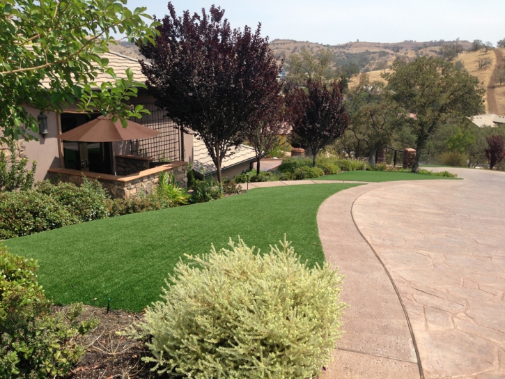 Artificial Grass Shackelford, California Design Ideas, Landscaping Ideas For Front Yard