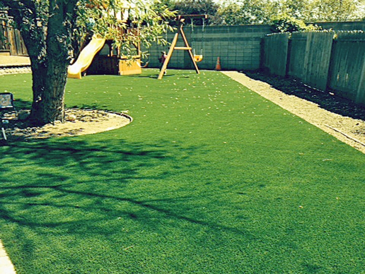 Artificial Grass Waterloo, California Playground Turf, Beautiful Backyards