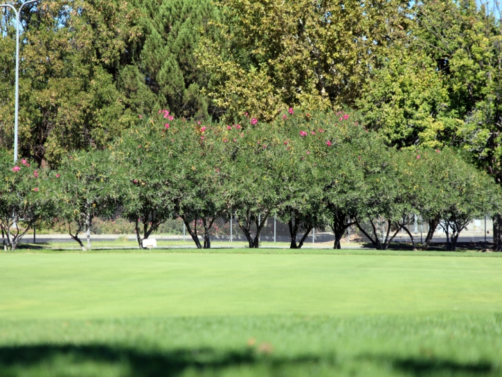 Artificial Lawn Bonny Doon, California Lawn And Garden