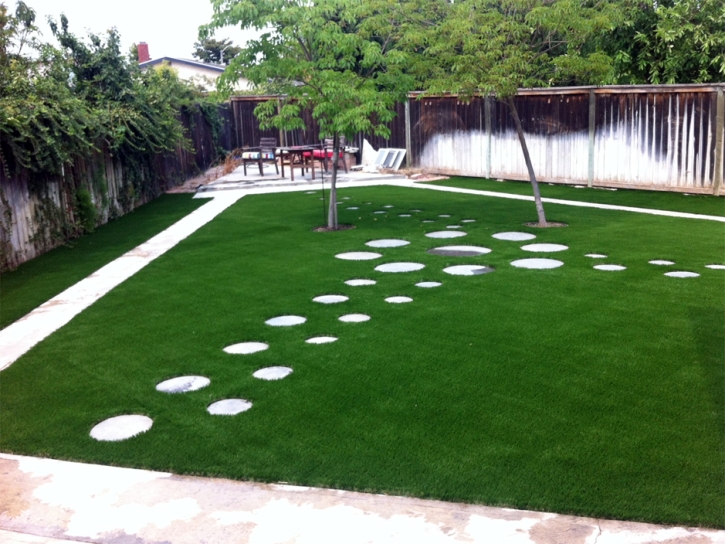 Artificial Lawn Cressey, California Landscaping Business, Backyard Landscaping