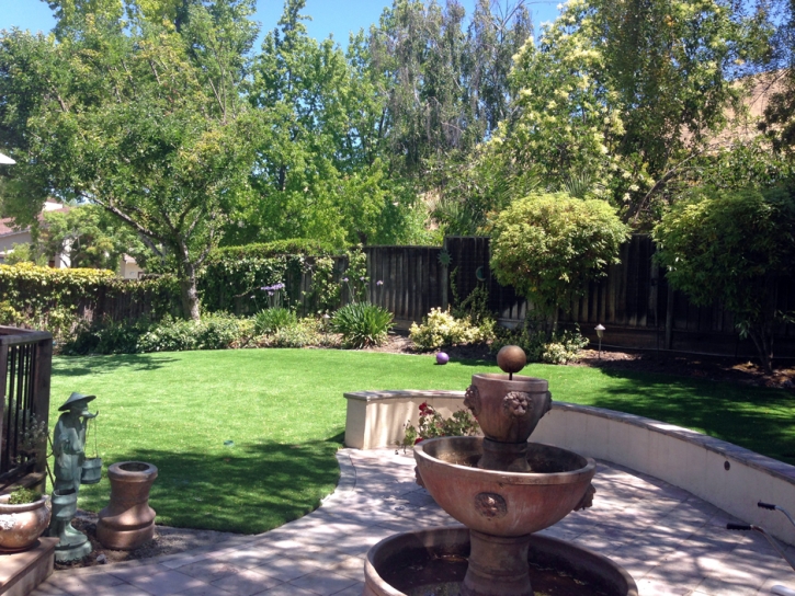 Artificial Lawn Dos Palos, California Roof Top, Beautiful Backyards