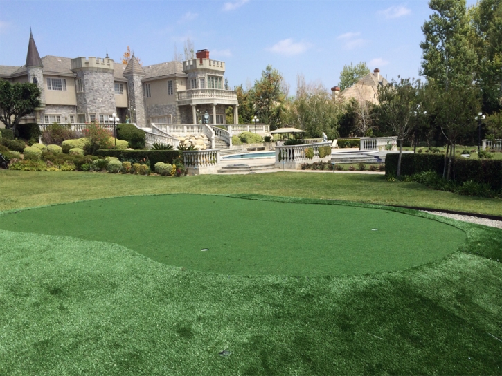 Artificial Lawn Hardwick, California Landscape Ideas, Front Yard Design