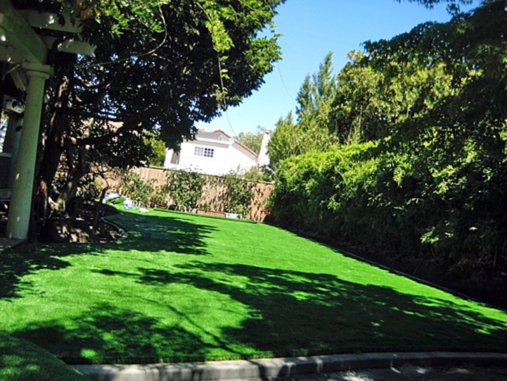 Artificial Lawn Ivanhoe, California Home And Garden, Backyard Makeover