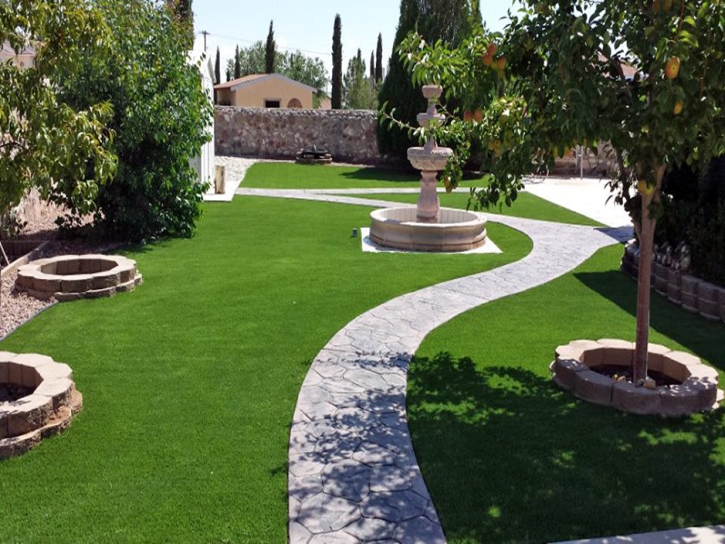 Artificial Lawn Kennedy, California Landscape Design, Backyard Garden Ideas