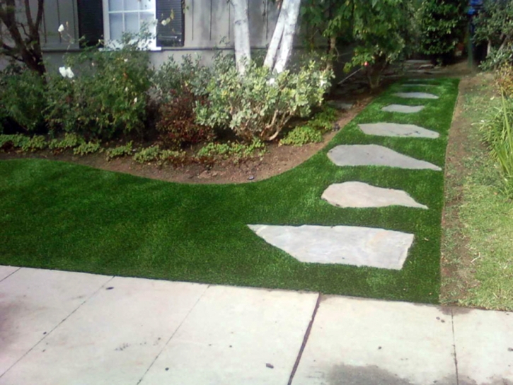 Artificial Lawn London, California Roof Top, Front Yard Design