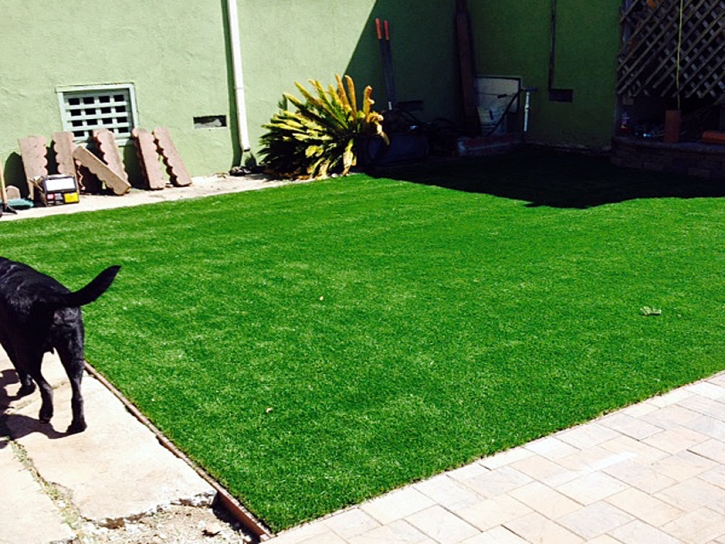 Artificial Lawn Los Gatos, California Indoor Dog Park, Backyard Makeover