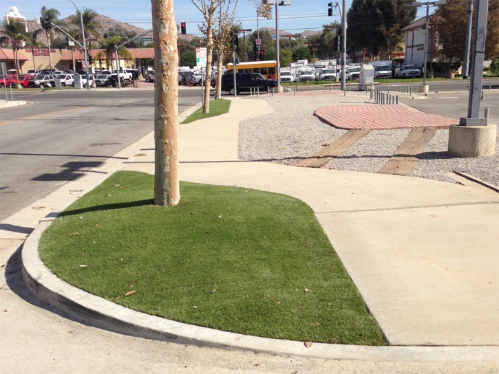 Artificial Lawn Parksdale, California Landscaping, Commercial Landscape