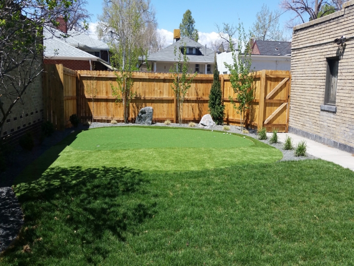 Artificial Lawn Pixley, California Indoor Putting Green, Backyard Landscaping Ideas