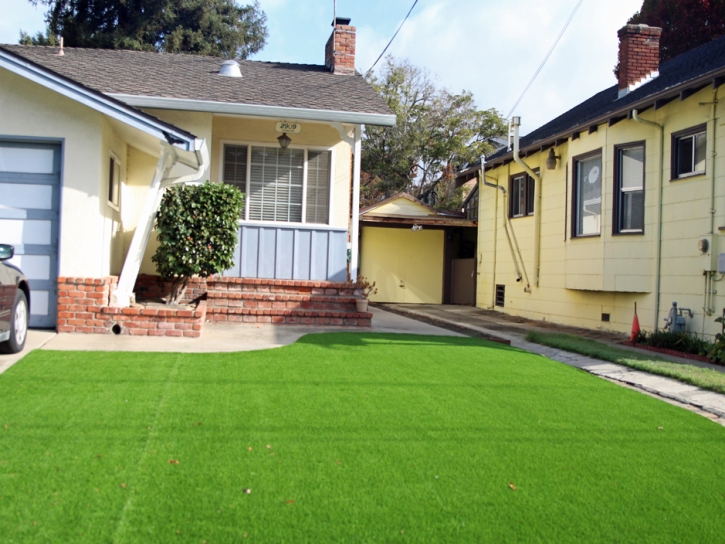 Artificial Lawn Springville, California Landscape Ideas, Landscaping Ideas For Front Yard