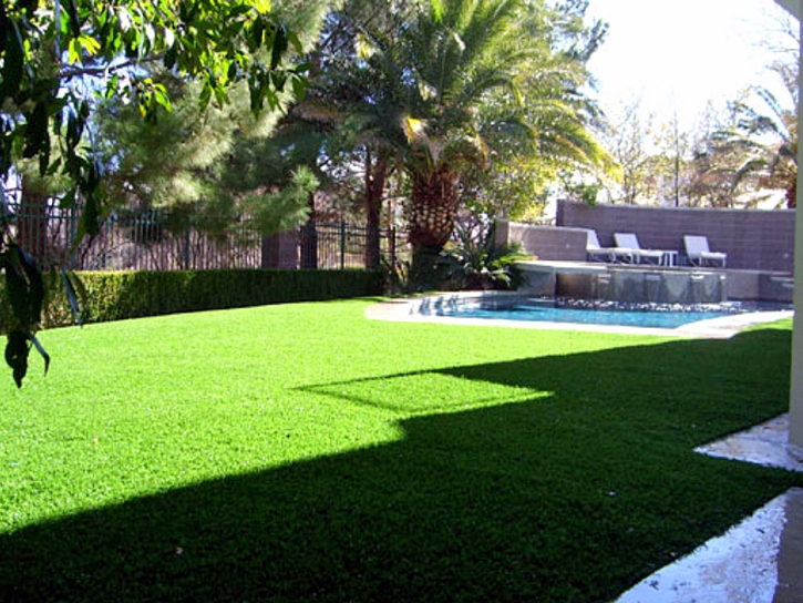 Artificial Lawn Tulare, California Gardeners, Backyard Landscaping