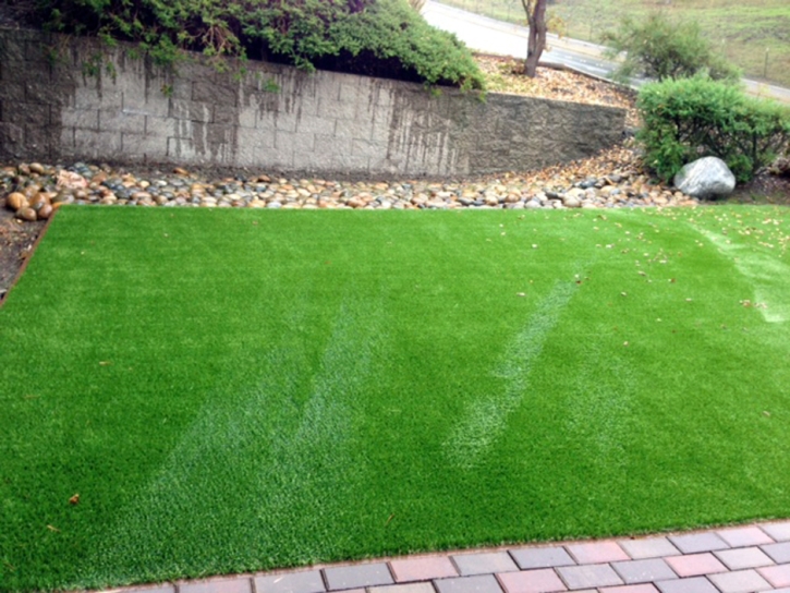 Artificial Turf Bear Creek, California Rooftop, Front Yard Design