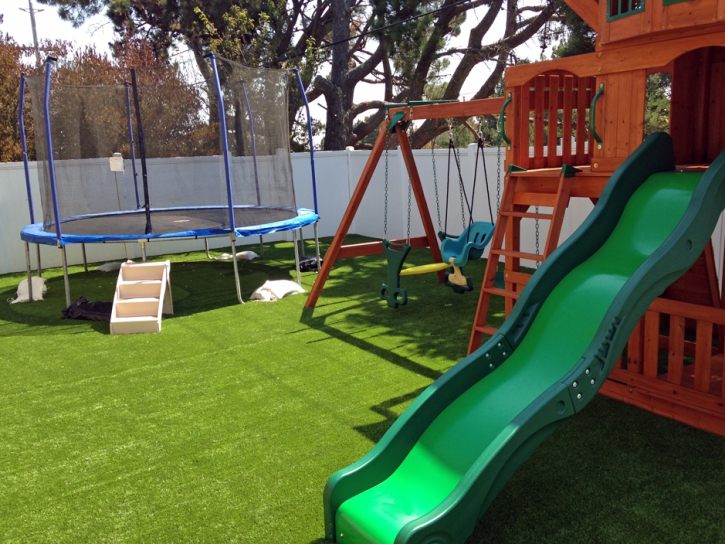 Artificial Turf Campbell, California Lawns, Backyard Garden Ideas