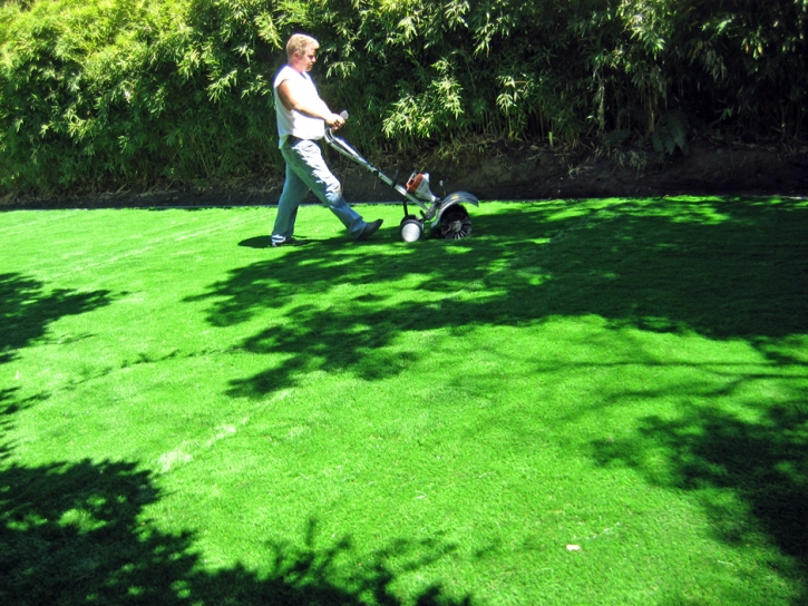 Artificial Turf Cost Courtland, California Rooftop, Backyard