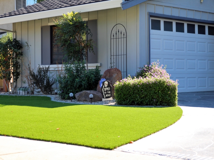 Artificial Turf Cost Davenport, California Gardeners, Front Yard Landscape Ideas