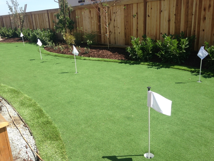 Artificial Turf Cost East Oakdale, California How To Build A Putting Green, Backyard Landscaping Ideas