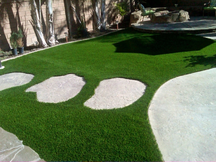 Artificial Turf Cost Groveland, California Garden Ideas, Backyard Landscaping