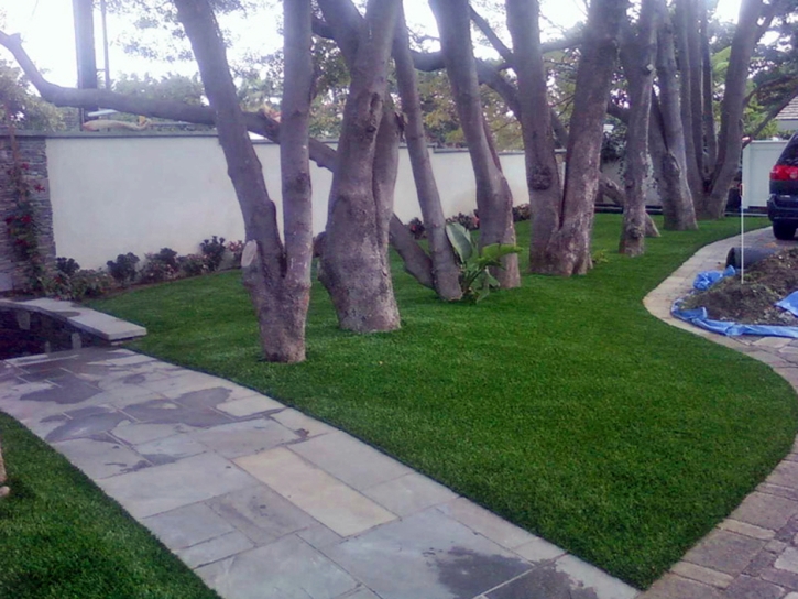 Artificial Turf Cost Ione, California Landscape Photos, Landscaping Ideas For Front Yard