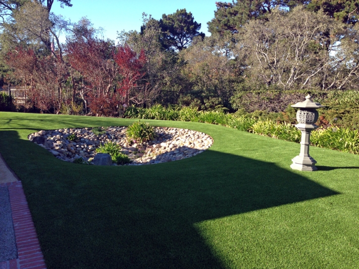 Artificial Turf Cost Lucerne, California Roof Top, Backyard Garden Ideas