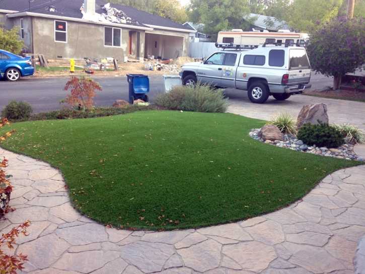 Artificial Turf Cost Minkler, California Landscaping, Front Yard Landscape Ideas