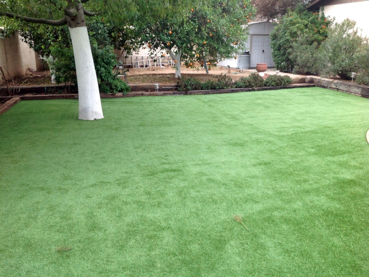 Artificial Turf Cost Mount Hermon, California Garden Ideas, Backyard