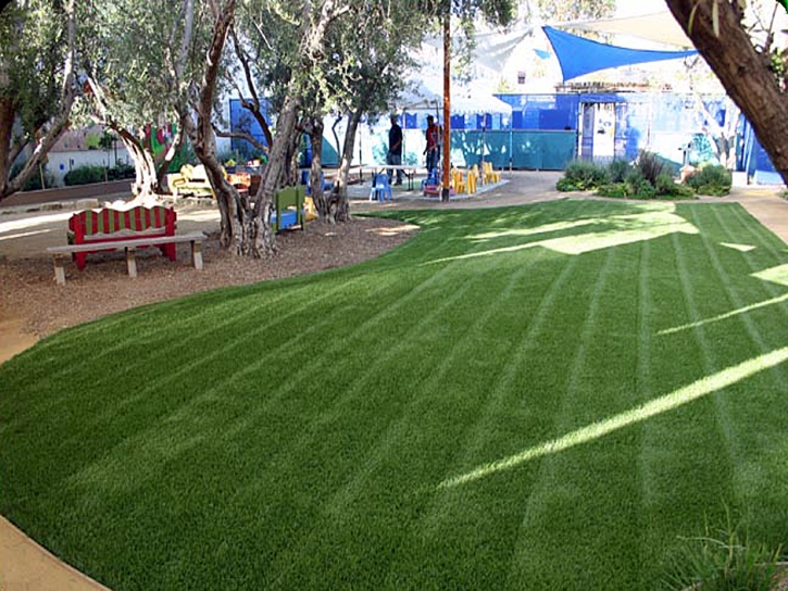 Artificial Turf Cost Sutter Creek, California Landscape Ideas, Commercial Landscape