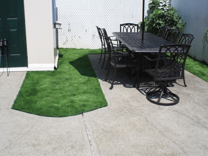 Artificial Turf Cost Vandenberg Village, California Landscape Photos, Backyard Garden Ideas