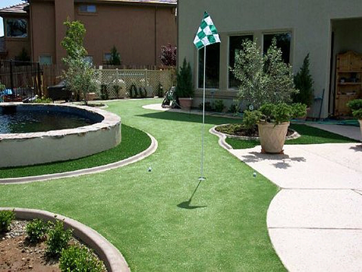 Artificial Turf Fruitdale, California Putting Greens, Backyard Landscaping