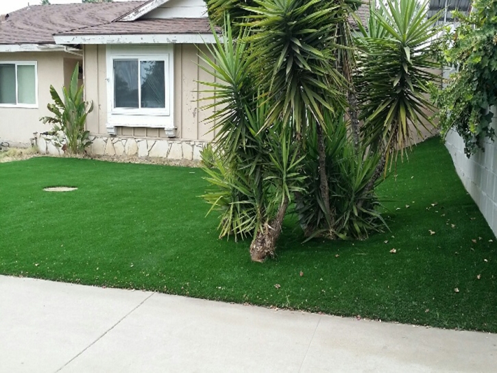 Artificial Turf Golden Hills, California Landscape Photos, Landscaping Ideas For Front Yard