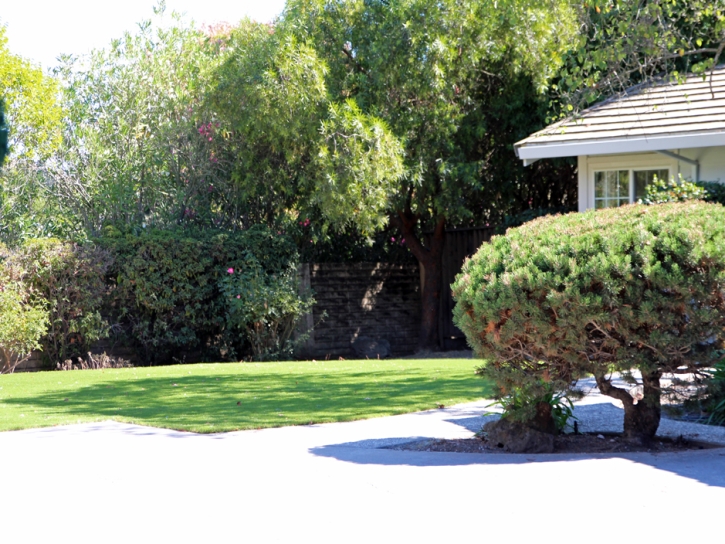 Artificial Turf Installation Bear Valley, California Landscape Photos, Front Yard Landscaping