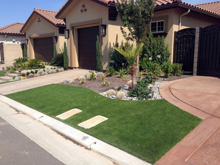 Artificial Turf Installation Camp Nelson, California Design Ideas, Front Yard Landscaping