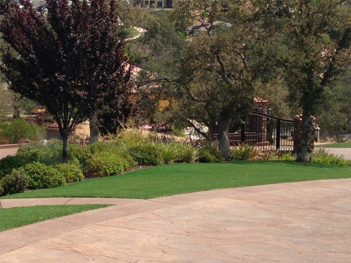 Artificial Turf Installation Fellows, California Landscaping, Backyard Landscaping