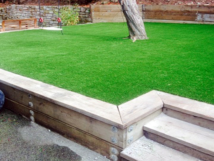 Artificial Turf Installation Lodi, California Landscape Ideas, Backyard Landscaping